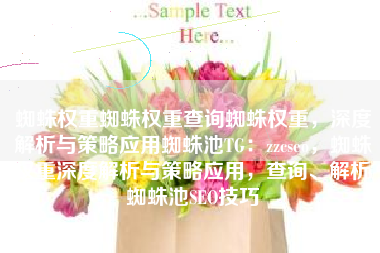 蜘蛛权重蜘蛛权重查询蜘蛛权重，深度解析与策略应用蜘蛛池TG：zzcseo，蜘蛛权重深度解析与策略应用，查询、解析蜘蛛池SEO技巧