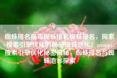 蜘蛛排名最毒蜘蛛排名蜘蛛排名，探索搜索引擎优化的秘密蜘蛛池TG：zzcseo，搜索引擎优化秘密揭秘，蜘蛛排名与蜘蛛池TG探索