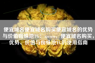 便宜域名便宜域名购买便宜域名的优势与价值蜘蛛池TG：zzcseo，便宜域名购买，优势、价值与蜘蛛池TG的使用指南