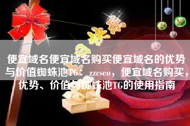 便宜域名便宜域名购买便宜域名的优势与价值蜘蛛池TG：zzcseo，便宜域名购买，优势、价值与蜘蛛池TG的使用指南