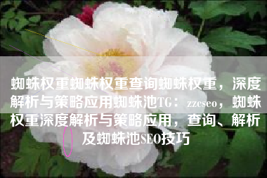 蜘蛛权重蜘蛛权重查询蜘蛛权重，深度解析与策略应用蜘蛛池TG：zzcseo，蜘蛛权重深度解析与策略应用，查询、解析及蜘蛛池SEO技巧