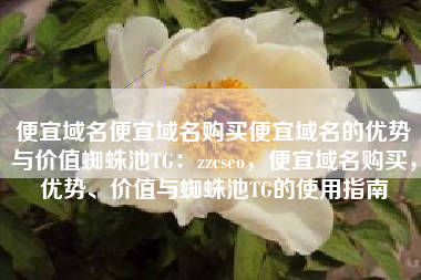 便宜域名便宜域名购买便宜域名的优势与价值蜘蛛池TG：zzcseo，便宜域名购买，优势、价值与蜘蛛池TG的使用指南