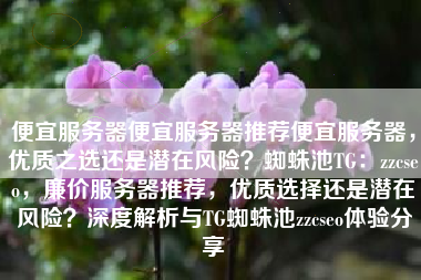 便宜服务器便宜服务器推荐便宜服务器，优质之选还是潜在风险？蜘蛛池TG：zzcseo，廉价服务器推荐，优质选择还是潜在风险？深度解析与TG蜘蛛池zzcseo体验分享