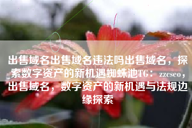 出售域名出售域名违法吗出售域名，探索数字资产的新机遇蜘蛛池TG：zzcseo，出售域名，数字资产的新机遇与法规边缘探索