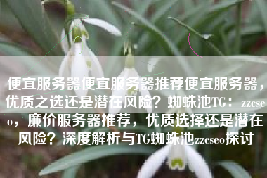 便宜服务器便宜服务器推荐便宜服务器，优质之选还是潜在风险？蜘蛛池TG：zzcseo，廉价服务器推荐，优质选择还是潜在风险？深度解析与TG蜘蛛池zzcseo探讨