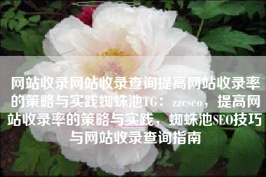 网站收录网站收录查询提高网站收录率的策略与实践蜘蛛池TG：zzcseo，提高网站收录率的策略与实践，蜘蛛池SEO技巧与网站收录查询指南