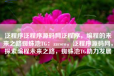 泛程序泛程序源码网泛程序，编程的未来之路蜘蛛池TG：zzcseo，泛程序源码网，探索编程未来之路，蜘蛛池TG助力发展