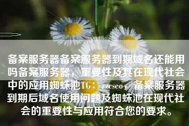 备案服务器备案服务器到期域名还能用吗备案服务器，重要性及其在现代社会中的应用蜘蛛池TG：zzcseo，备案服务器到期后域名使用问题及蜘蛛池在现代社会的重要性与应用符合您的要求。