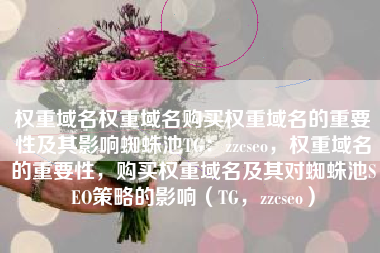权重域名权重域名购买权重域名的重要性及其影响蜘蛛池TG：zzcseo，权重域名的重要性，购买权重域名及其对蜘蛛池SEO策略的影响（TG，zzcseo）
