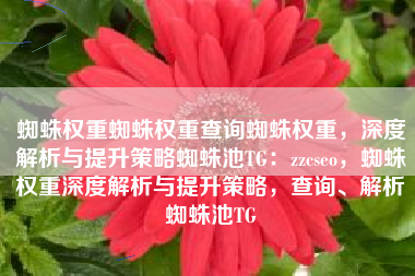 蜘蛛权重蜘蛛权重查询蜘蛛权重，深度解析与提升策略蜘蛛池TG：zzcseo，蜘蛛权重深度解析与提升策略，查询、解析蜘蛛池TG
