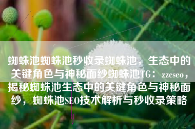蜘蛛池蜘蛛池秒收录蜘蛛池，生态中的关键角色与神秘面纱蜘蛛池TG：zzcseo，揭秘蜘蛛池生态中的关键角色与神秘面纱，蜘蛛池SEO技术解析与秒收录策略