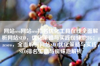 网站seo网站seo排名优化工具在线全面解析网站SEO，优化策略与实践蜘蛛池TG：zzcseo，全面解析网站SEO优化策略与实践，SEO排名工具与蜘蛛池解析