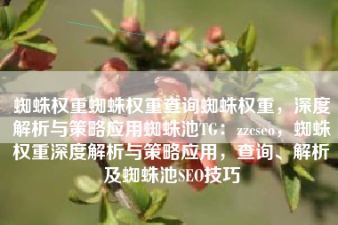 蜘蛛权重蜘蛛权重查询蜘蛛权重，深度解析与策略应用蜘蛛池TG：zzcseo，蜘蛛权重深度解析与策略应用，查询、解析及蜘蛛池SEO技巧