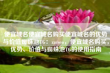 便宜域名便宜域名购买便宜域名的优势与价值蜘蛛池TG：zzcseo，便宜域名购买，优势、价值与蜘蛛池TG的使用指南