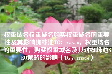 权重域名权重域名购买权重域名的重要性及其影响蜘蛛池TG：zzcseo，权重域名的重要性，购买权重域名及其对蜘蛛池SEO策略的影响（TG，zzcseo）