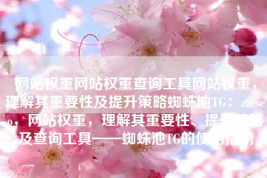 网站权重网站权重查询工具网站权重，理解其重要性及提升策略蜘蛛池TG：zzcseo，网站权重，理解其重要性、提升策略及查询工具——蜘蛛池TG的使用指南