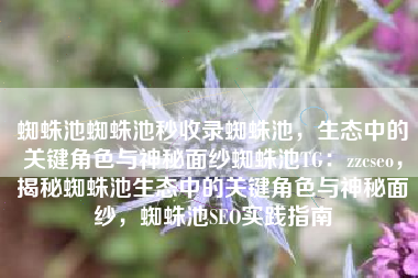 蜘蛛池蜘蛛池秒收录蜘蛛池，生态中的关键角色与神秘面纱蜘蛛池TG：zzcseo，揭秘蜘蛛池生态中的关键角色与神秘面纱，蜘蛛池SEO实践指南