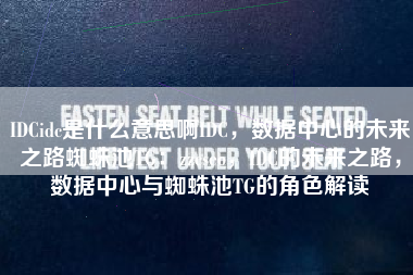 IDCidc是什么意思啊IDC，数据中心的未来之路蜘蛛池TG：zzcseo，IDC的未来之路，数据中心与蜘蛛池TG的角色解读