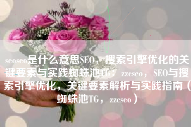 seoseo是什么意思SEO，搜索引擎优化的关键要素与实践蜘蛛池TG：zzcseo，SEO与搜索引擎优化，关键要素解析与实践指南（蜘蛛池TG，zzcseo）