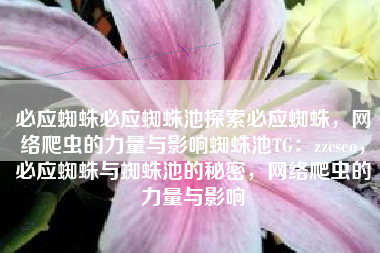 必应蜘蛛必应蜘蛛池探索必应蜘蛛，网络爬虫的力量与影响蜘蛛池TG：zzcseo，必应蜘蛛与蜘蛛池的秘密，网络爬虫的力量与影响