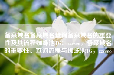 备案域名备案域名查询备案域名的重要性及其流程蜘蛛池TG：zzcseo，备案域名的重要性、查询流程与蜘蛛池TG，zzcseo