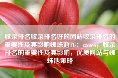 收录排名收录排名好的网站收录排名的重要性及其影响蜘蛛池TG：zzcseo，收录排名的重要性及其影响，优质网站与蜘蛛池策略