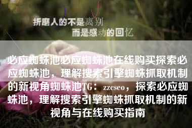 必应蜘蛛池必应蜘蛛池在线购买探索必应蜘蛛池，理解搜索引擎蜘蛛抓取机制的新视角蜘蛛池TG：zzcseo，探索必应蜘蛛池，理解搜索引擎蜘蛛抓取机制的新视角与在线购买指南