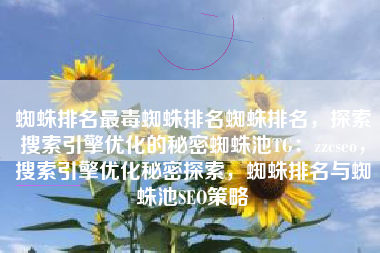 蜘蛛排名最毒蜘蛛排名蜘蛛排名，探索搜索引擎优化的秘密蜘蛛池TG：zzcseo，搜索引擎优化秘密探索，蜘蛛排名与蜘蛛池SEO策略