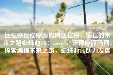 泛程序泛程序源码网泛程序，编程的未来之路蜘蛛池TG：zzcseo，泛程序源码网，探索编程未来之路，蜘蛛池TG助力发展