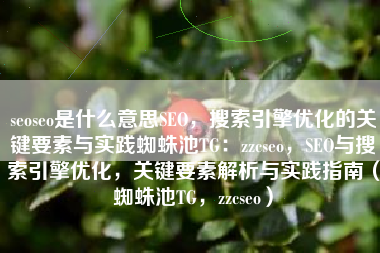 seoseo是什么意思SEO，搜索引擎优化的关键要素与实践蜘蛛池TG：zzcseo，SEO与搜索引擎优化，关键要素解析与实践指南（蜘蛛池TG，zzcseo）