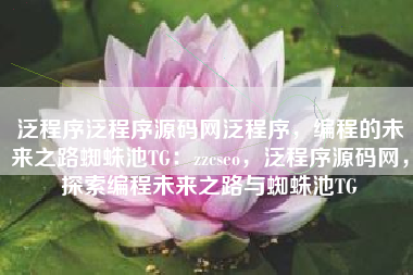 泛程序泛程序源码网泛程序，编程的未来之路蜘蛛池TG：zzcseo，泛程序源码网，探索编程未来之路与蜘蛛池TG
