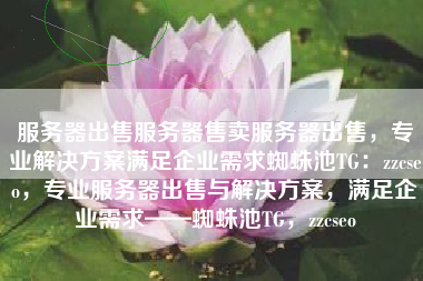 服务器出售服务器售卖服务器出售，专业解决方案满足企业需求蜘蛛池TG：zzcseo，专业服务器出售与解决方案，满足企业需求——蜘蛛池TG，zzcseo