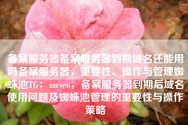 备案服务器备案服务器到期域名还能用吗备案服务器，重要性、操作与管理蜘蛛池TG：zzcseo，备案服务器到期后域名使用问题及蜘蛛池管理的重要性与操作策略