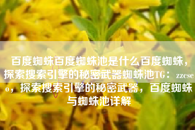 百度蜘蛛百度蜘蛛池是什么百度蜘蛛，探索搜索引擎的秘密武器蜘蛛池TG：zzcseo，探索搜索引擎的秘密武器，百度蜘蛛与蜘蛛池详解