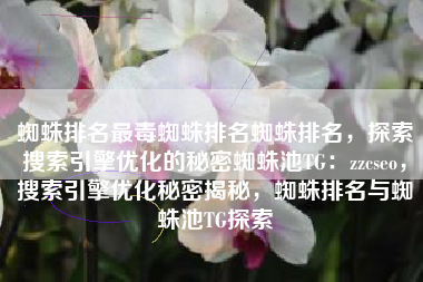 蜘蛛排名最毒蜘蛛排名蜘蛛排名，探索搜索引擎优化的秘密蜘蛛池TG：zzcseo，搜索引擎优化秘密揭秘，蜘蛛排名与蜘蛛池TG探索