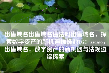 出售域名出售域名违法吗出售域名，探索数字资产的新机遇蜘蛛池TG：zzcseo，出售域名，数字资产的新机遇与法规边缘探索