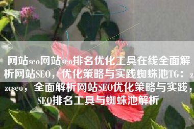 网站seo网站seo排名优化工具在线全面解析网站SEO，优化策略与实践蜘蛛池TG：zzcseo，全面解析网站SEO优化策略与实践，SEO排名工具与蜘蛛池解析