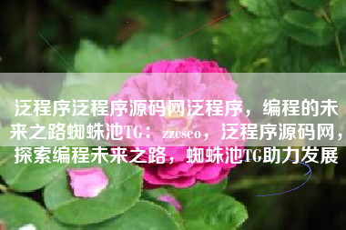 泛程序泛程序源码网泛程序，编程的未来之路蜘蛛池TG：zzcseo，泛程序源码网，探索编程未来之路，蜘蛛池TG助力发展
