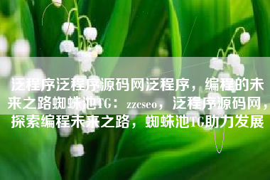 泛程序泛程序源码网泛程序，编程的未来之路蜘蛛池TG：zzcseo，泛程序源码网，探索编程未来之路，蜘蛛池TG助力发展