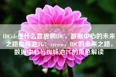 IDCidc是什么意思啊IDC，数据中心的未来之路蜘蛛池TG：zzcseo，IDC的未来之路，数据中心与蜘蛛池TG的角色解读