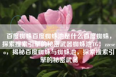 百度蜘蛛百度蜘蛛池是什么百度蜘蛛，探索搜索引擎的秘密武器蜘蛛池TG：zzcseo，揭秘百度蜘蛛与蜘蛛池，探索搜索引擎的秘密武器