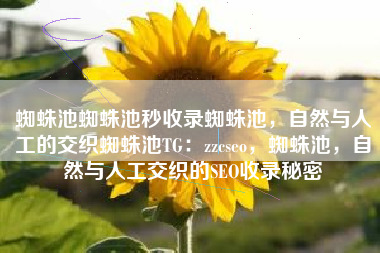 蜘蛛池蜘蛛池秒收录蜘蛛池，自然与人工的交织蜘蛛池TG：zzcseo，蜘蛛池，自然与人工交织的SEO收录秘密