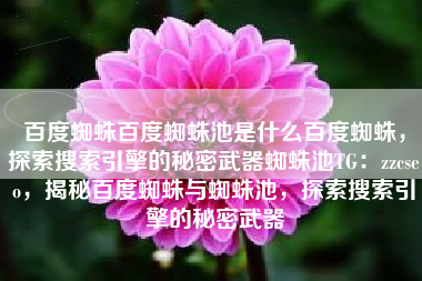 百度蜘蛛百度蜘蛛池是什么百度蜘蛛，探索搜索引擎的秘密武器蜘蛛池TG：zzcseo，揭秘百度蜘蛛与蜘蛛池，探索搜索引擎的秘密武器