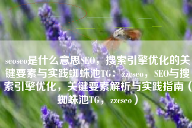seoseo是什么意思SEO，搜索引擎优化的关键要素与实践蜘蛛池TG：zzcseo，SEO与搜索引擎优化，关键要素解析与实践指南（蜘蛛池TG，zzcseo）