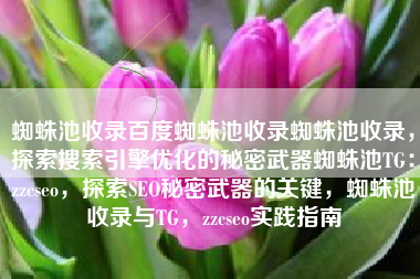 蜘蛛池收录百度蜘蛛池收录蜘蛛池收录，探索搜索引擎优化的秘密武器蜘蛛池TG：zzcseo，探索SEO秘密武器的关键，蜘蛛池收录与TG，zzcseo实践指南