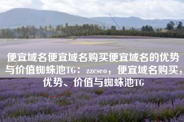 便宜域名便宜域名购买便宜域名的优势与价值蜘蛛池TG：zzcseo，便宜域名购买，优势、价值与蜘蛛池TG