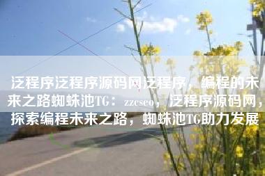 泛程序泛程序源码网泛程序，编程的未来之路蜘蛛池TG：zzcseo，泛程序源码网，探索编程未来之路，蜘蛛池TG助力发展