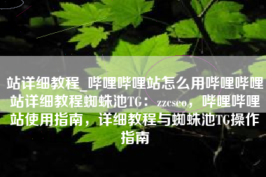 站详细教程_哔哩哔哩站怎么用哔哩哔哩站详细教程蜘蛛池TG：zzcseo，哔哩哔哩站使用指南，详细教程与蜘蛛池TG操作指南
