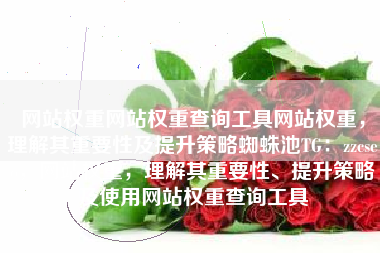 网站权重网站权重查询工具网站权重，理解其重要性及提升策略蜘蛛池TG：zzcseo，网站权重，理解其重要性、提升策略及使用网站权重查询工具
