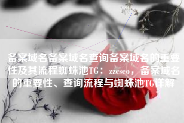 备案域名备案域名查询备案域名的重要性及其流程蜘蛛池TG：zzcseo，备案域名的重要性、查询流程与蜘蛛池TG详解